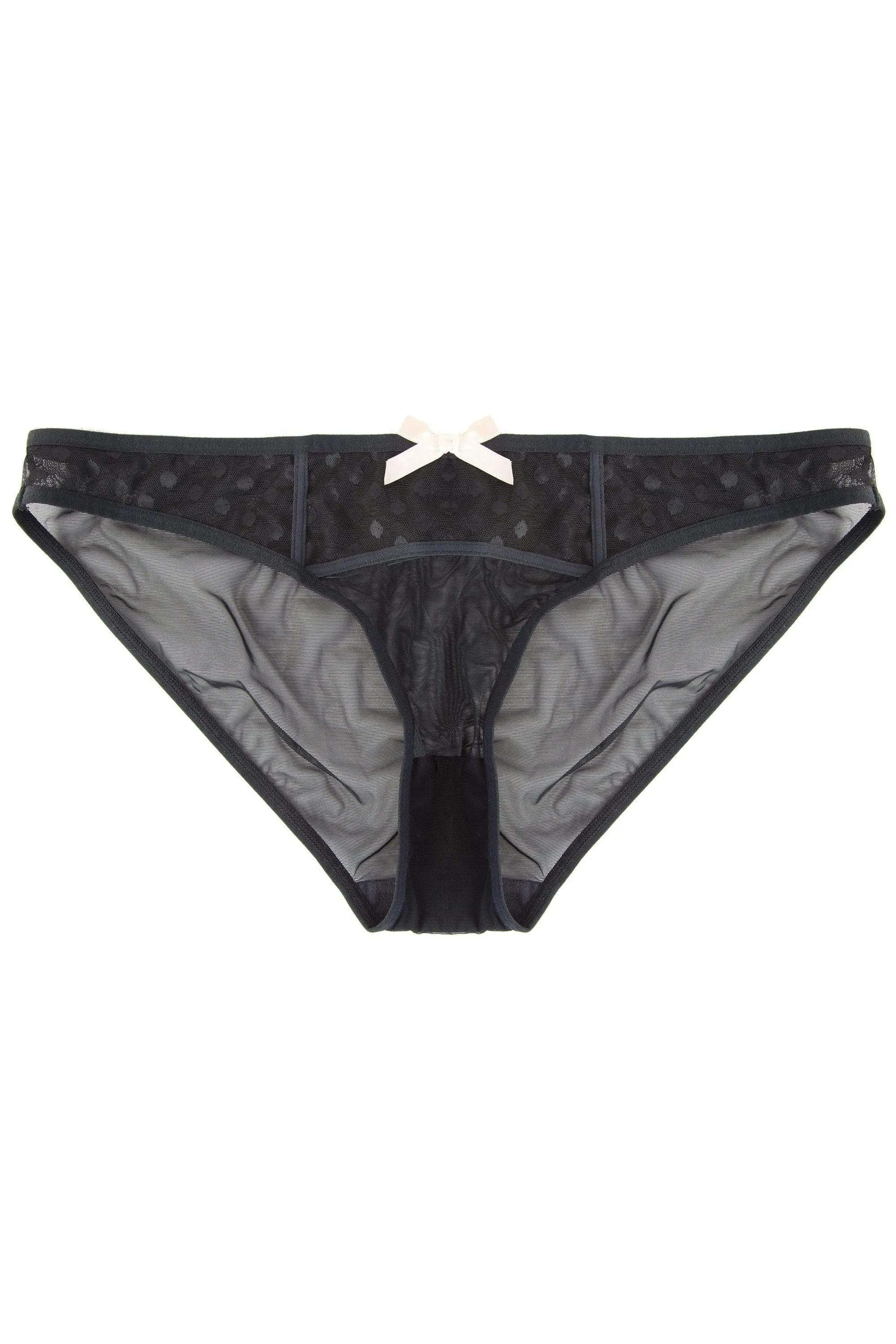 Isa Black Dot Mesh Net Brief